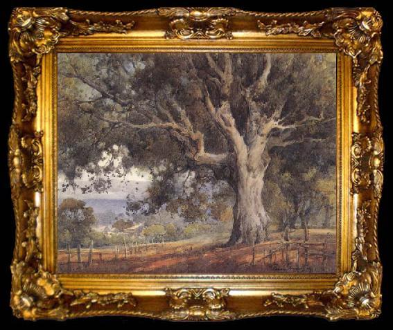 framed  unknow artist Oak Tree, ta009-2